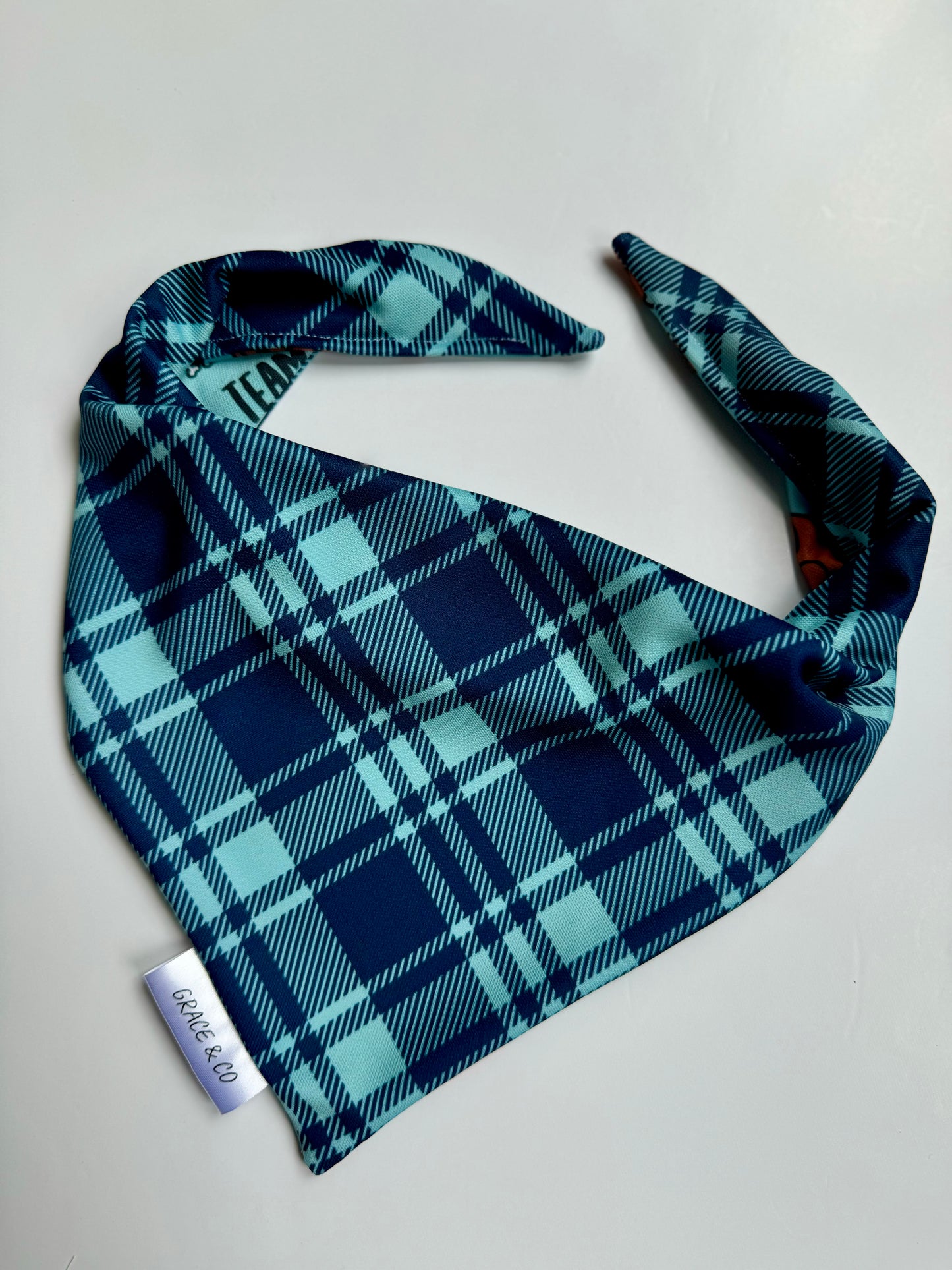 Team Leftovers: 2 in 1 Double Sided Fall Dog Bandana