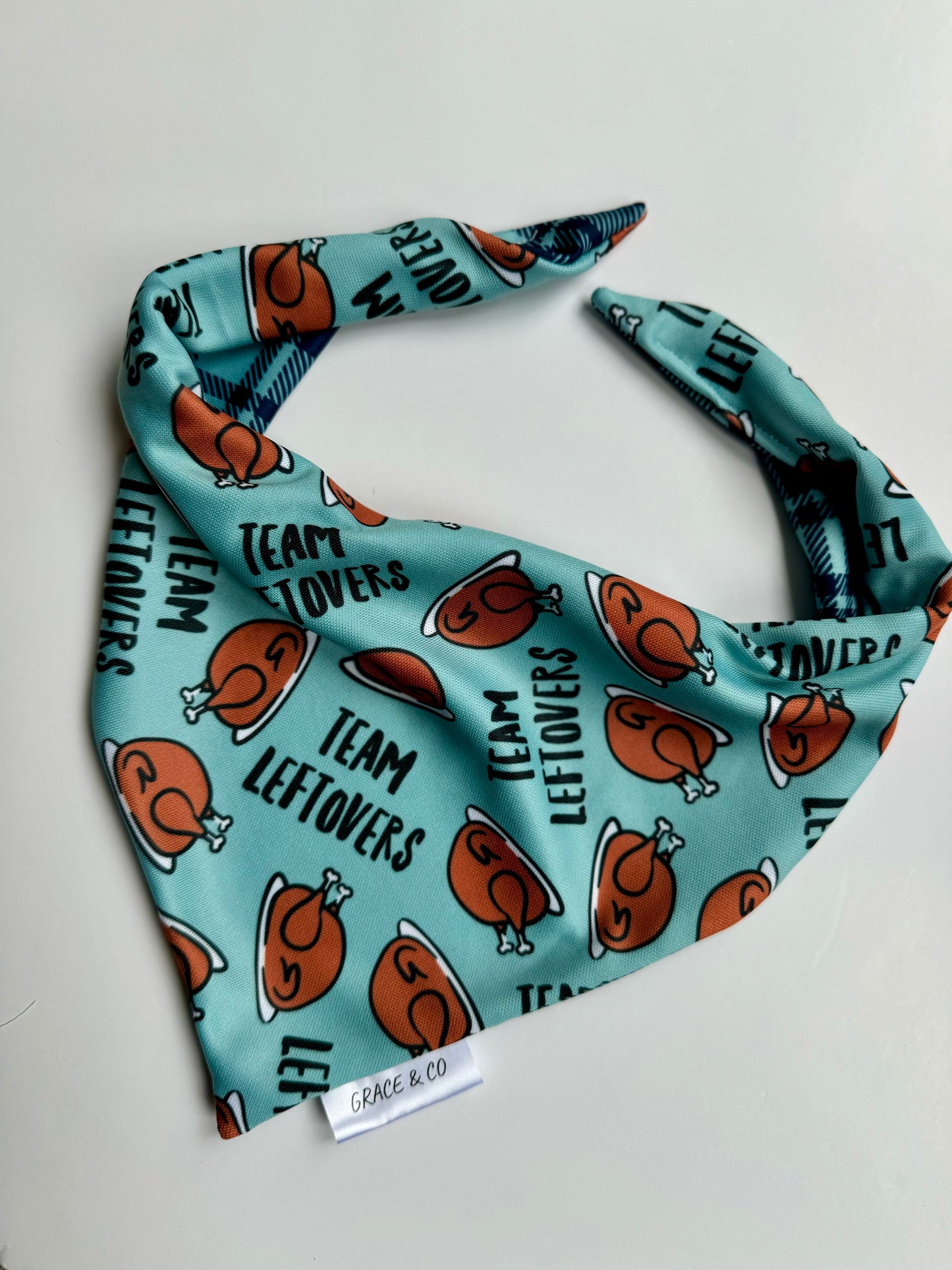 Team Leftovers: 2 in 1 Double Sided Fall Dog Bandana