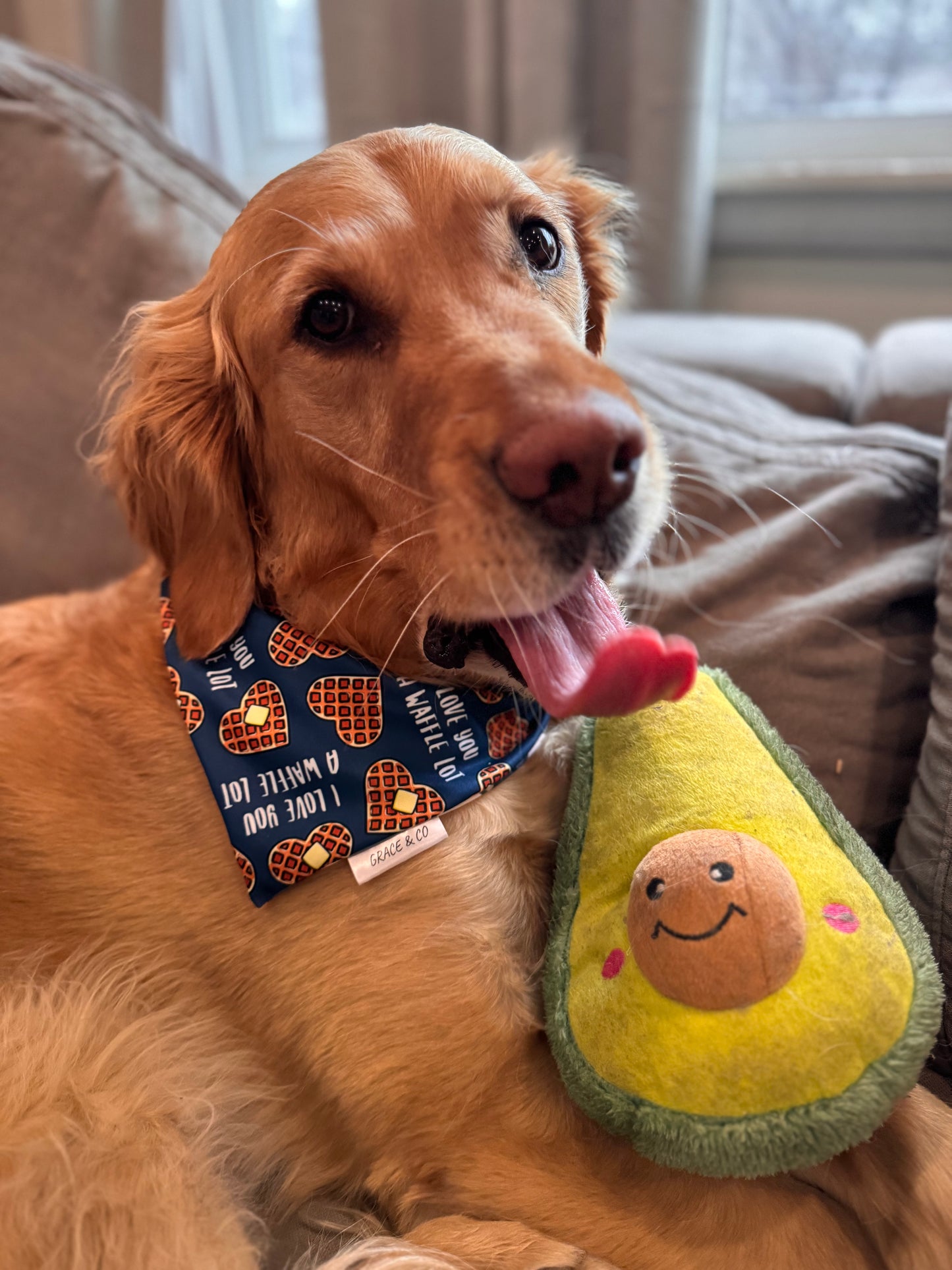 I Love You A Waffle Lot: 2 in 1 Pup Valentines Bandana