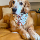 Christmas Dino's 3.0: 2 in 1, double sided dog bandana