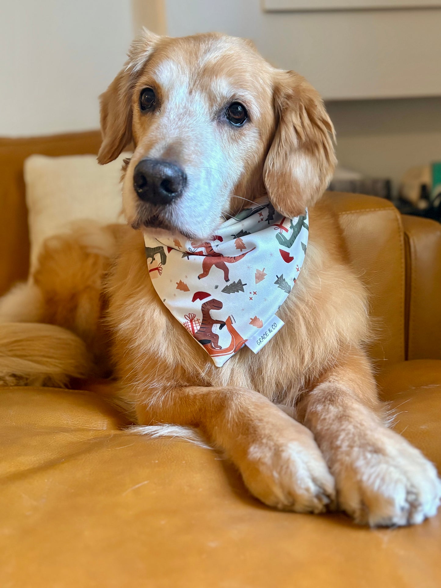 Christmas Dino's 3.0: 2 in 1, double sided dog bandana