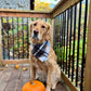 Double Sided Flannel Plaid Bandana