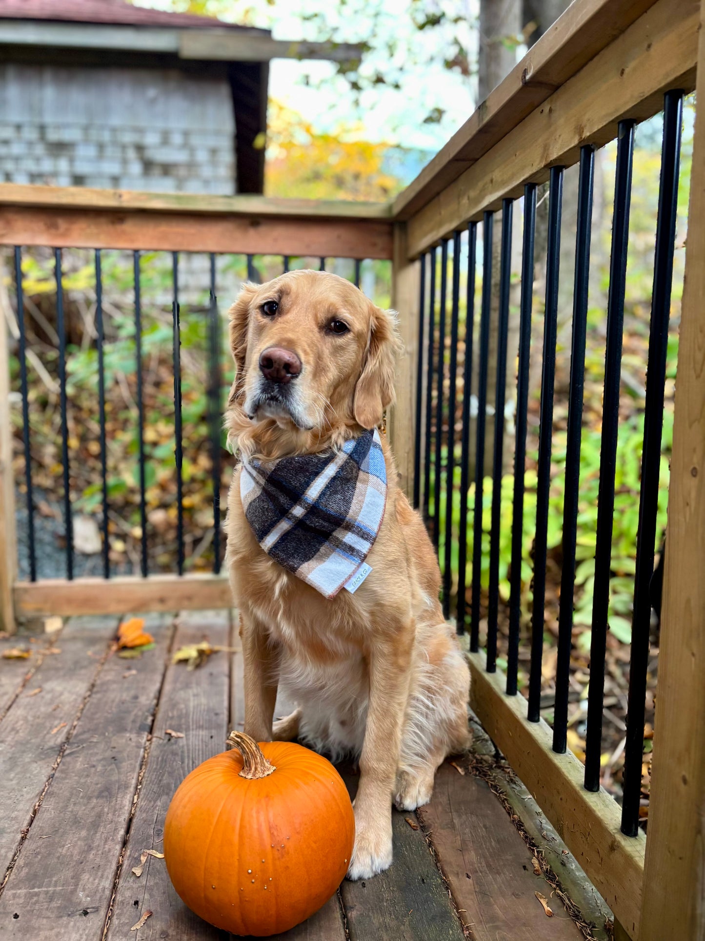 Double Sided Flannel Plaid Bandana