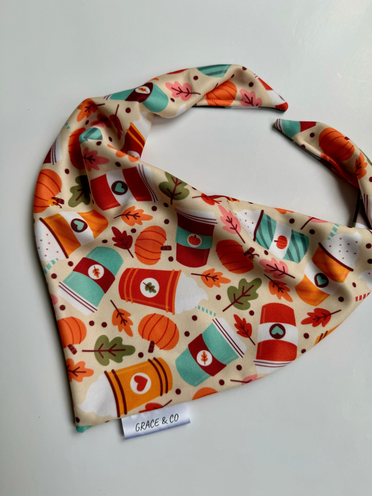 PSL; 2 in 1 Double Sided Fall Dog Bandana