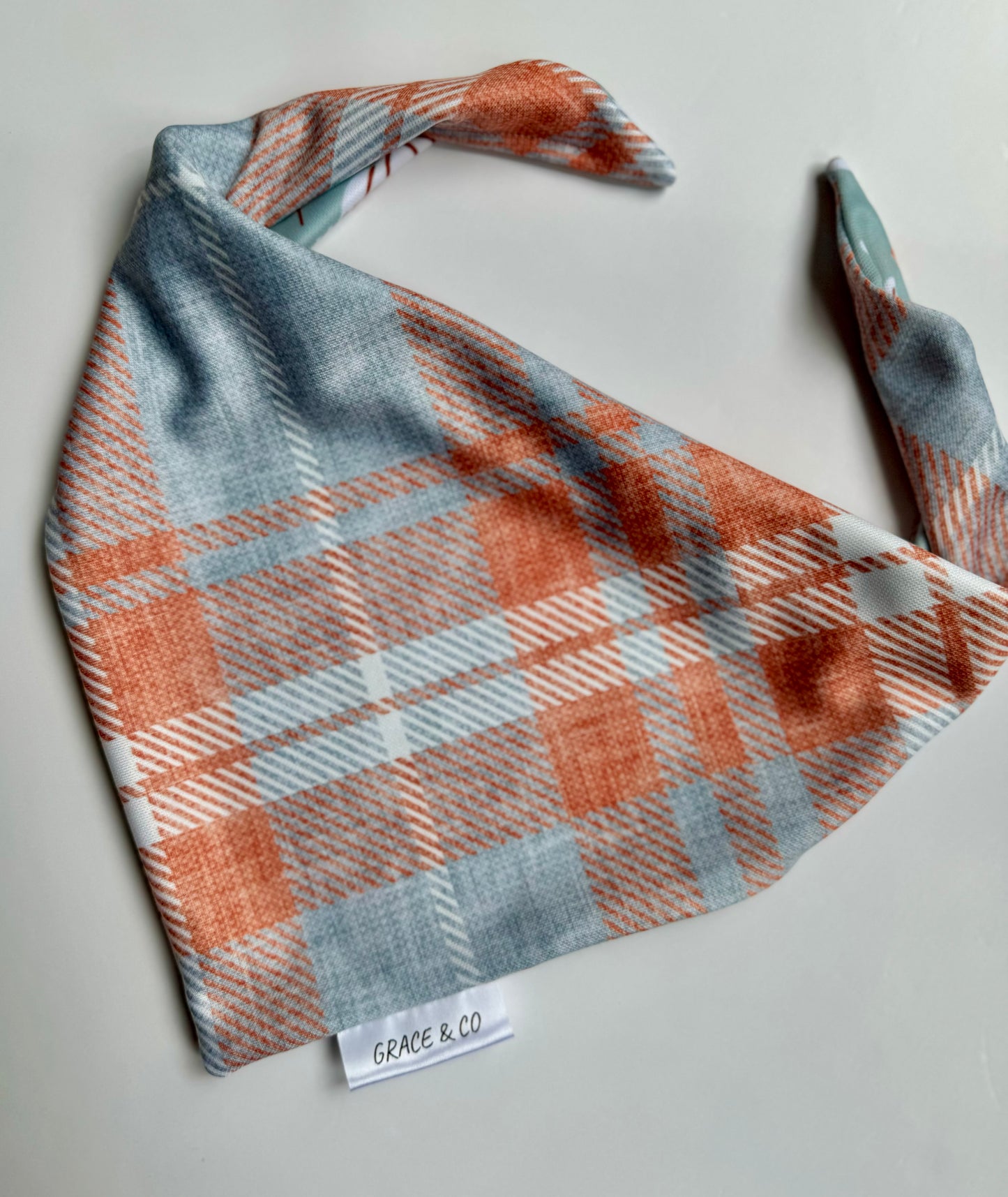 You Want A Piece Of Me?: Pumpkin Pie Double sided dog bandana; water resistant