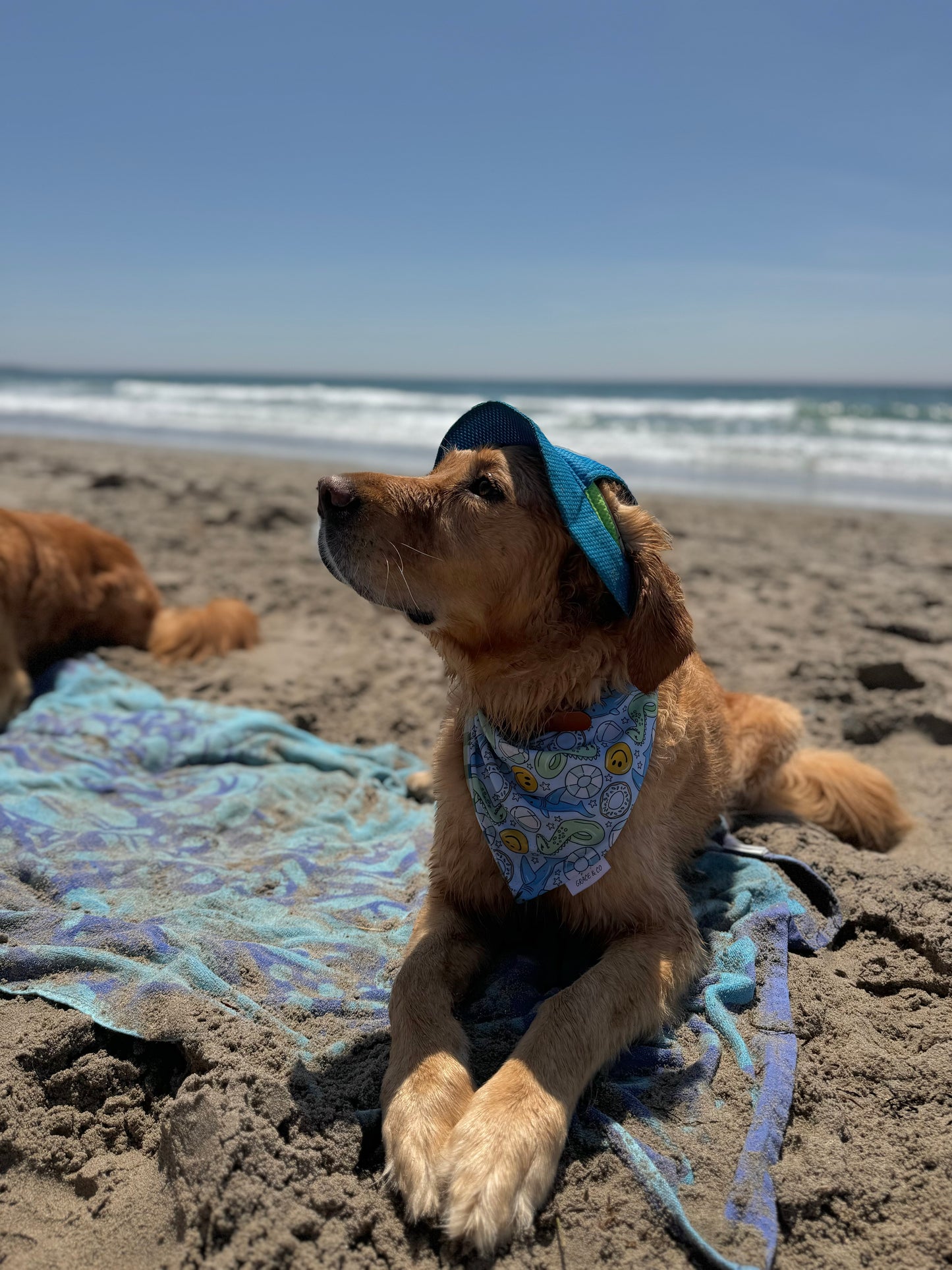 Floaties: Reversible, 2 in 1 Dog Bandanas