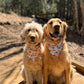 Lake Dog, 2 in 1 Dog Bandana