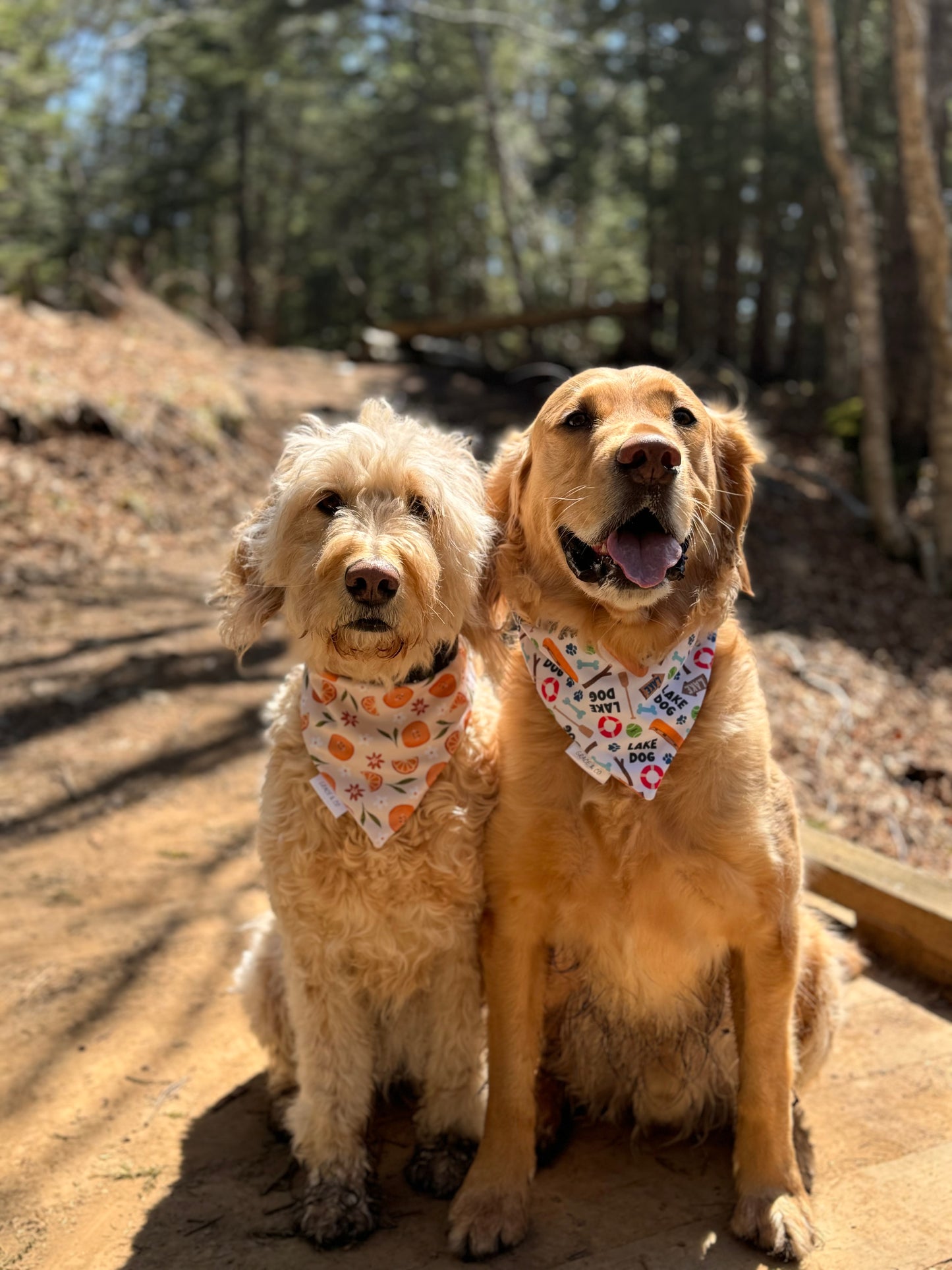Lake Dog, 2 in 1 Dog Bandana