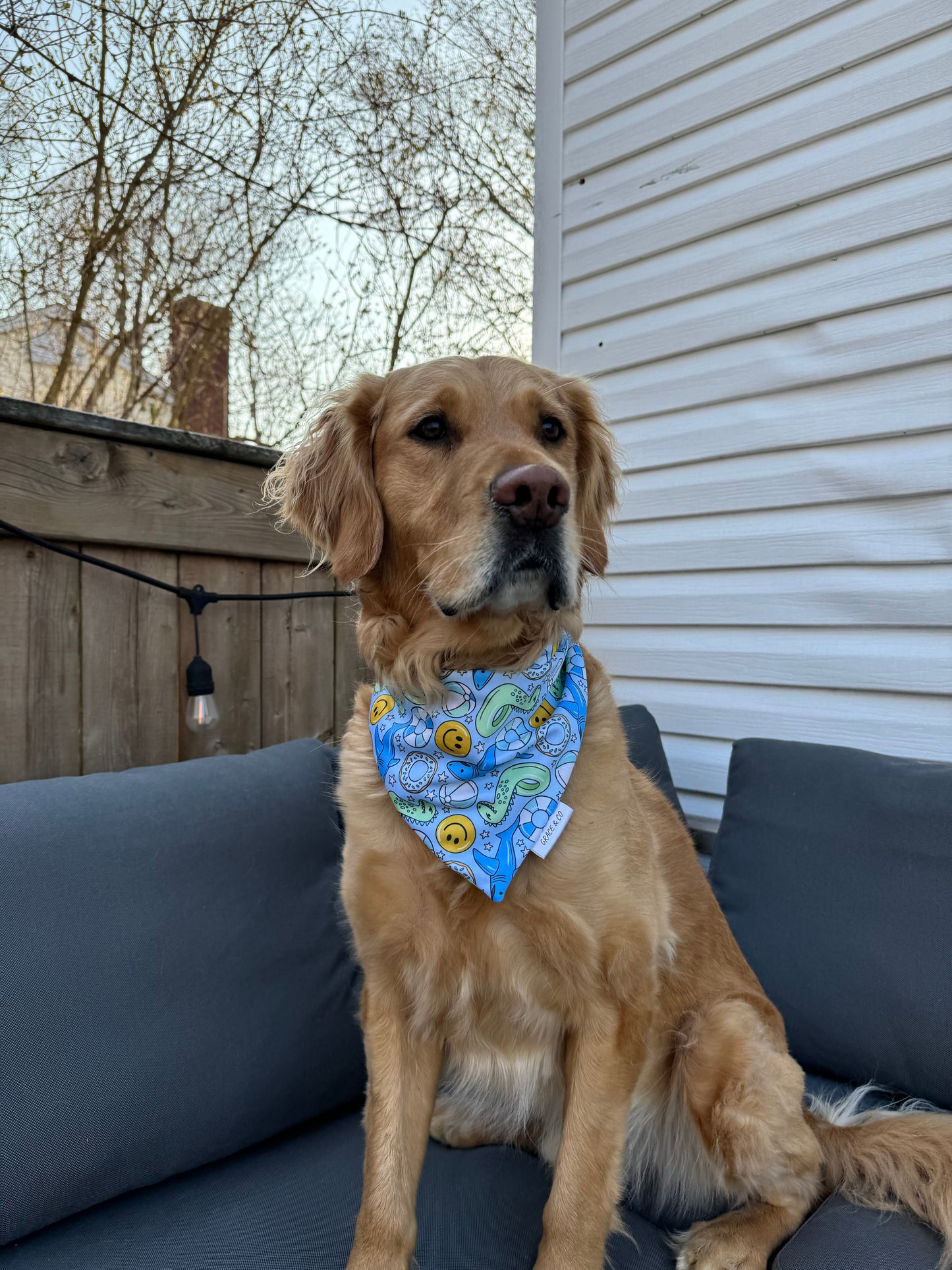 Floaties: Reversible, 2 in 1 Dog Bandanas