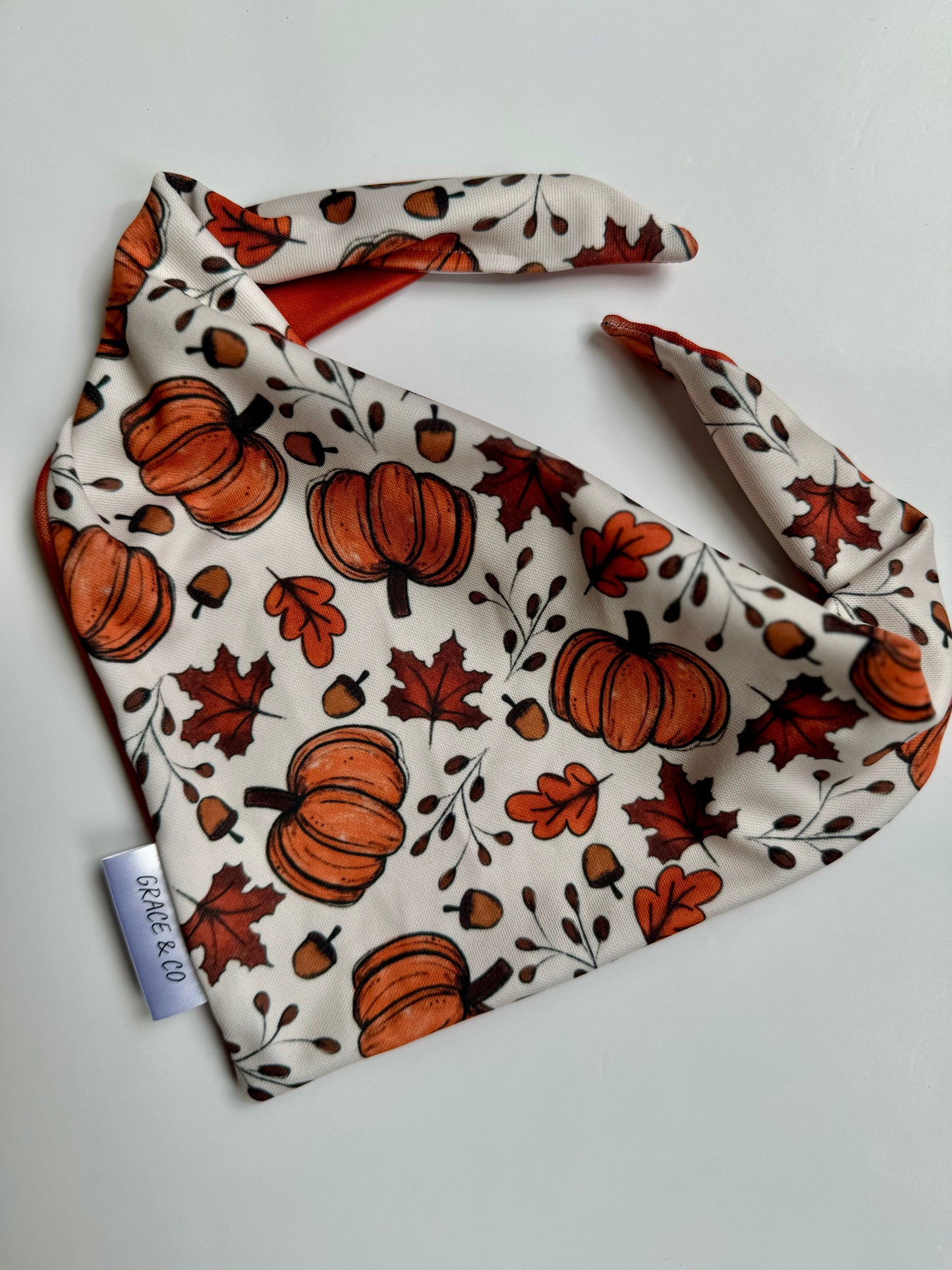 Autumn Leaves & Acorns; 2 in 1 Double Sided Dog Bandana; water resistant