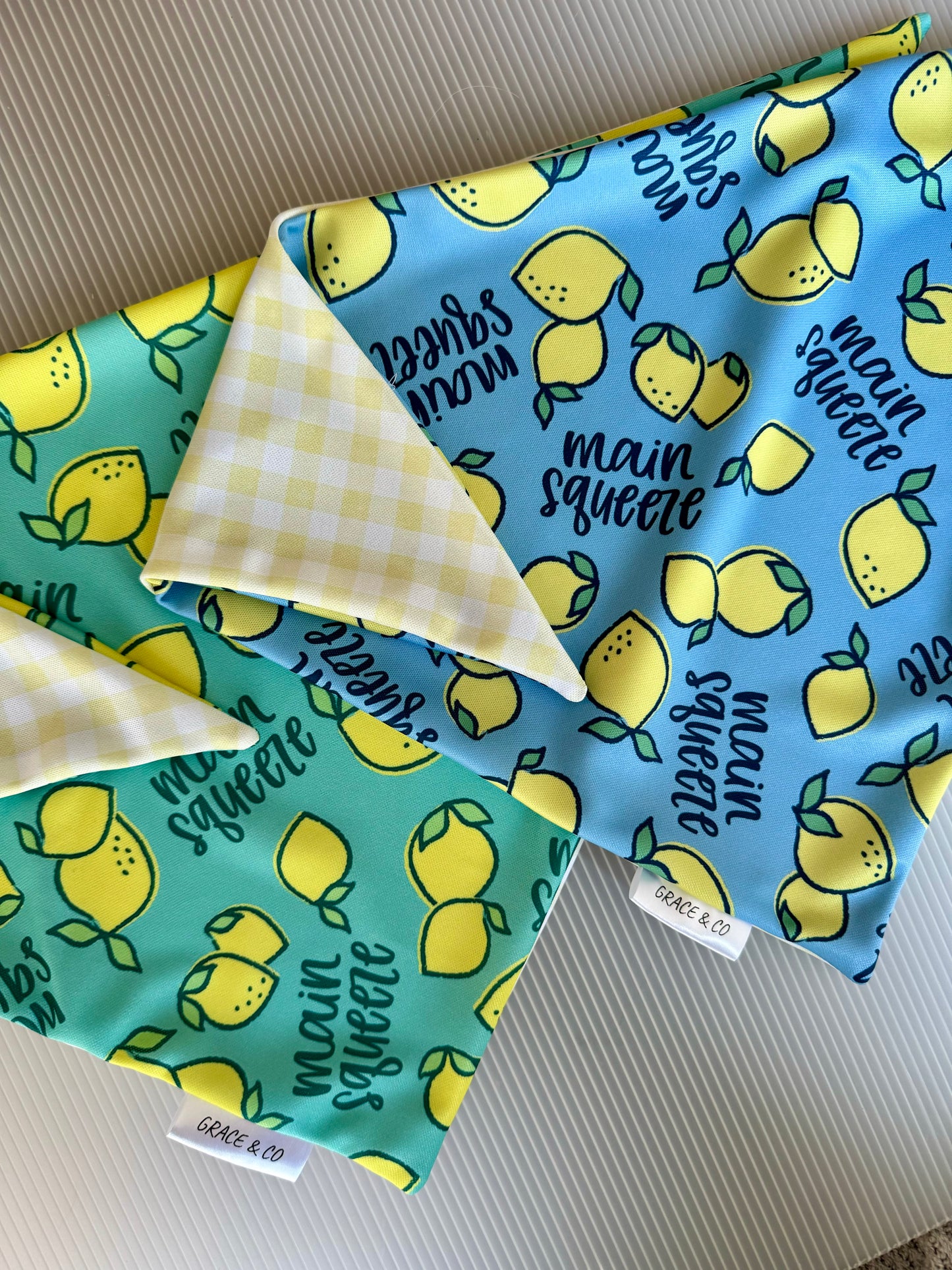 Main Squeeze, 2 in 1 Dog Bandana