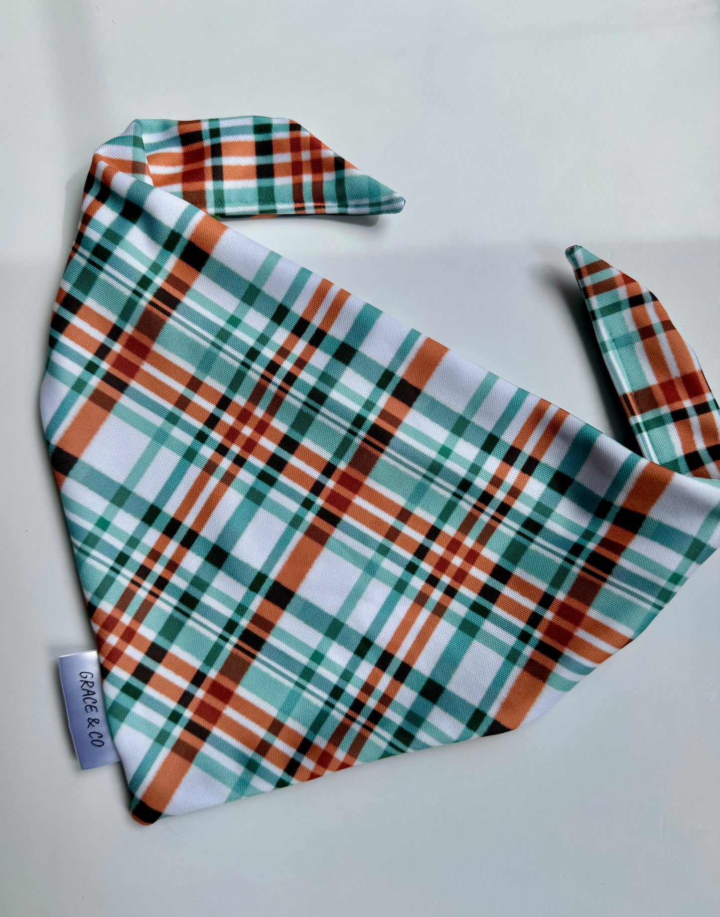 Lick or Treat; 2 in 1 Double Sided Halloween Dog Bandana