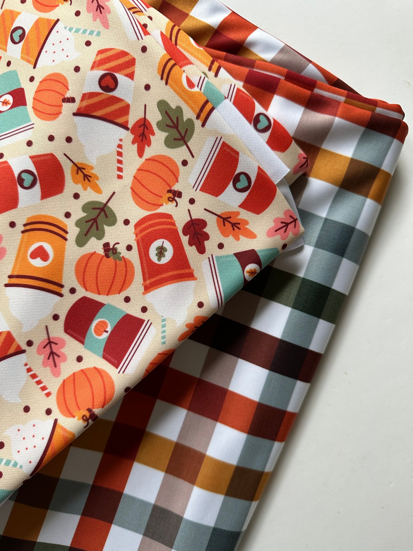 PSL; 2 in 1 Double Sided Fall Dog Bandana