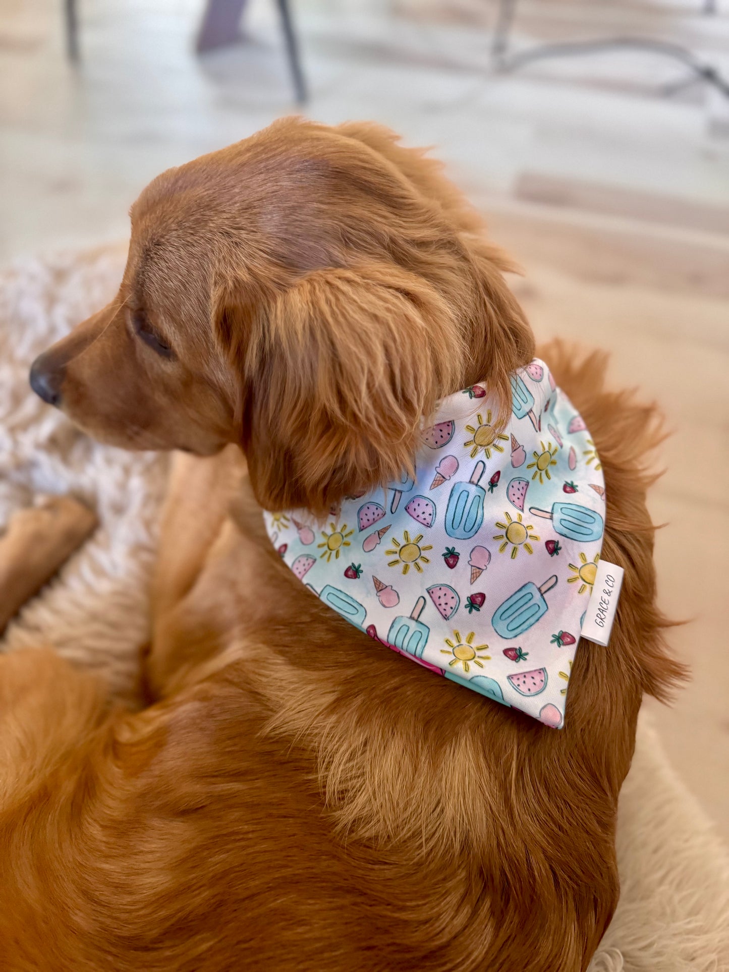 Summer Flamingos: 2 in 1, Water Resistant Pup Bandana