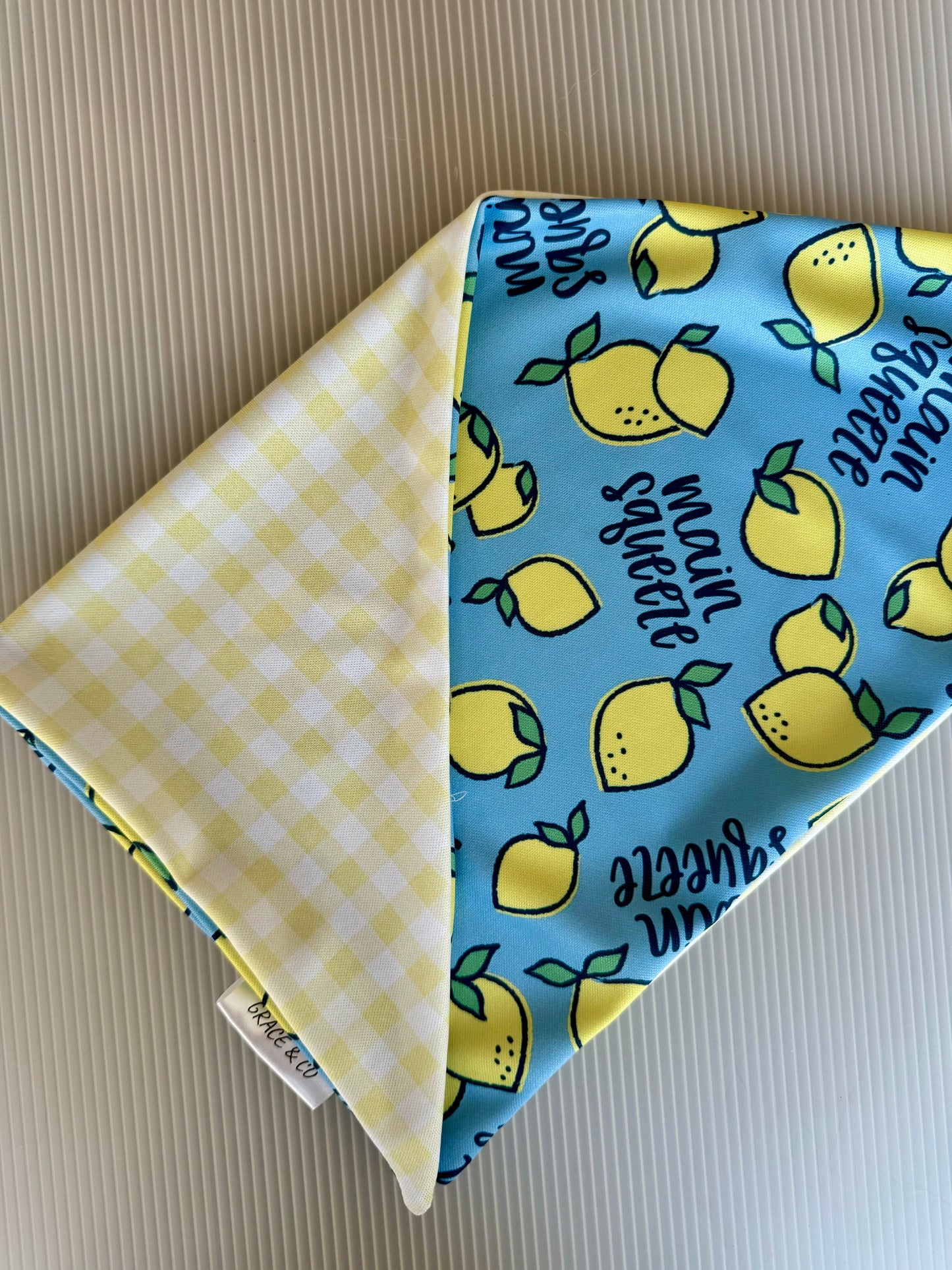 Main Squeeze, 2 in 1 Dog Bandana