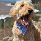 East Coast Nautical, Reversible, 2 in 1 Dog Bandana