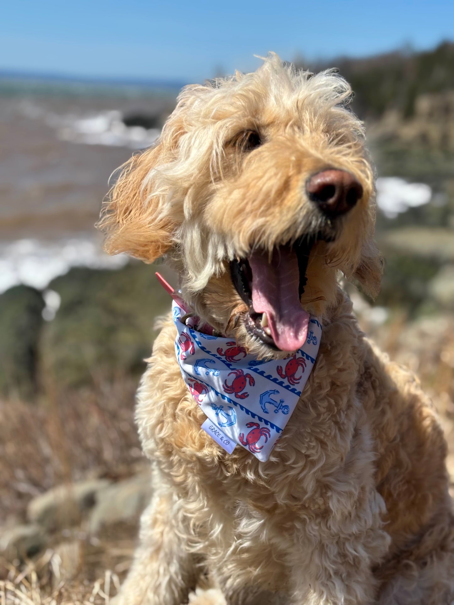 East Coast Nautical, Reversible, 2 in 1 Dog Bandana