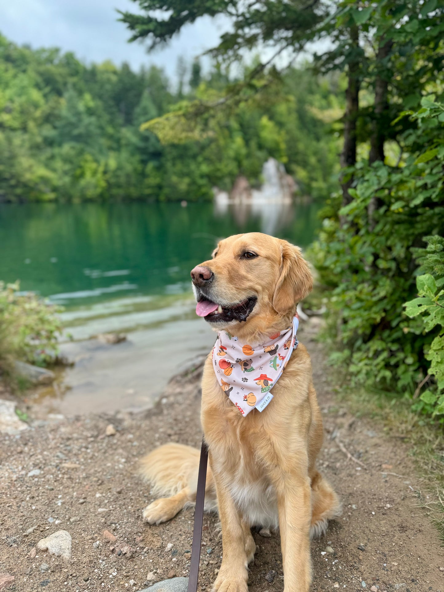 Western Pups; 2 in 1 Dog Cooling Bandanas