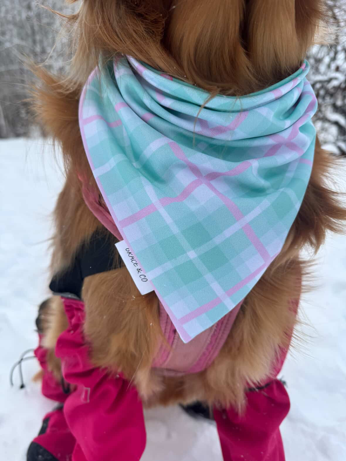 I’m A Sucker For You; 2 in 1 Pup Bandana