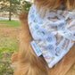Hiking Buddy: Reversible, 2 in 1 Dog Bandana
