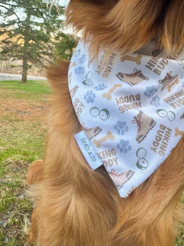 Hiking Buddy: Reversible, 2 in 1 Dog Bandana