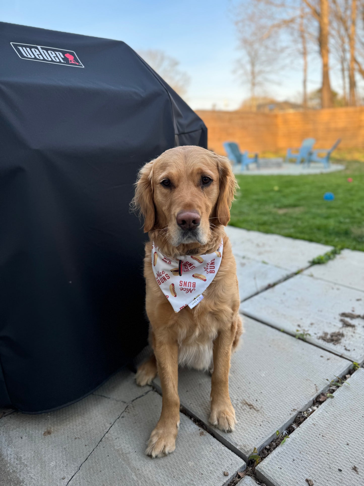 Nice Buns: Reversible, 2 in 1 Dog Bandana