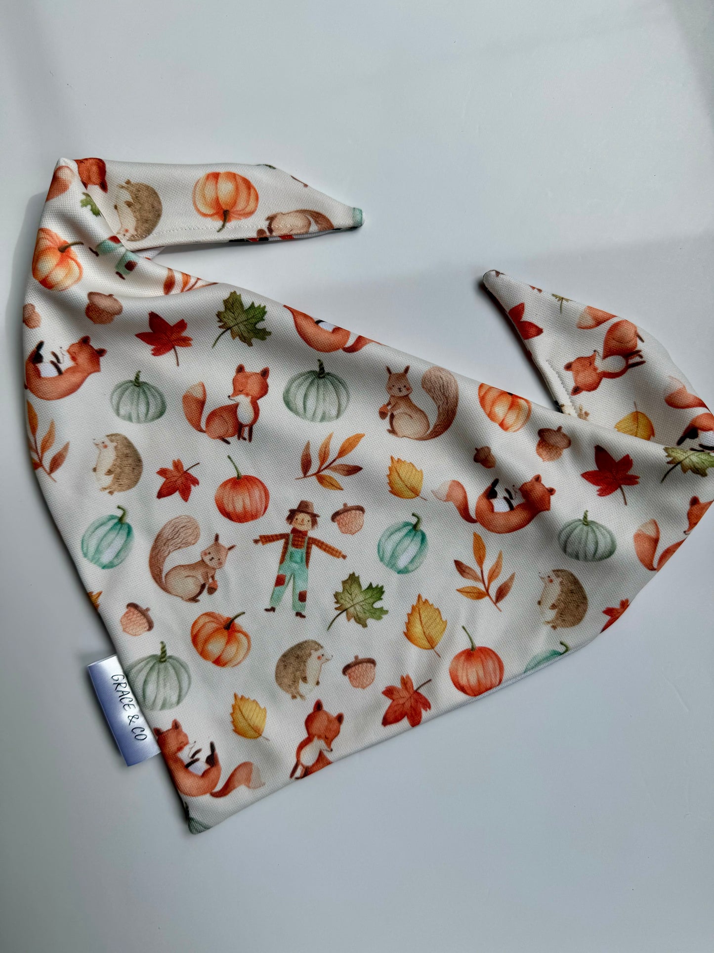 Fall Critters & Tractors; 2 in 1, Double sided pup Bandana