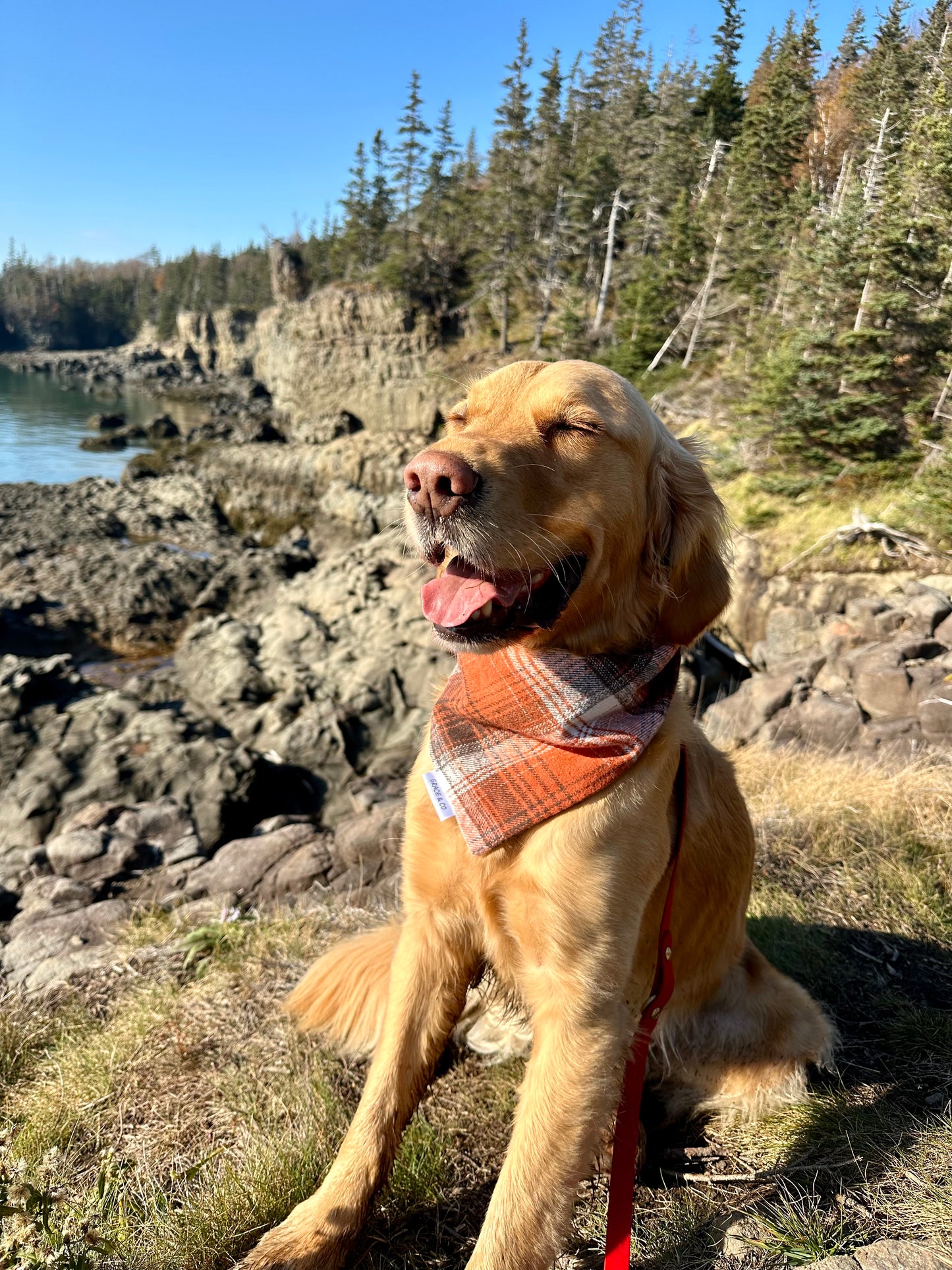 Double Sided Cozy Flannel Dog Bandana