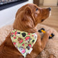 Watermelon Pups: 2 in 1, Water Resistant Dog Bandana