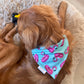 Summer Flamingos: 2 in 1, Water Resistant Pup Bandana