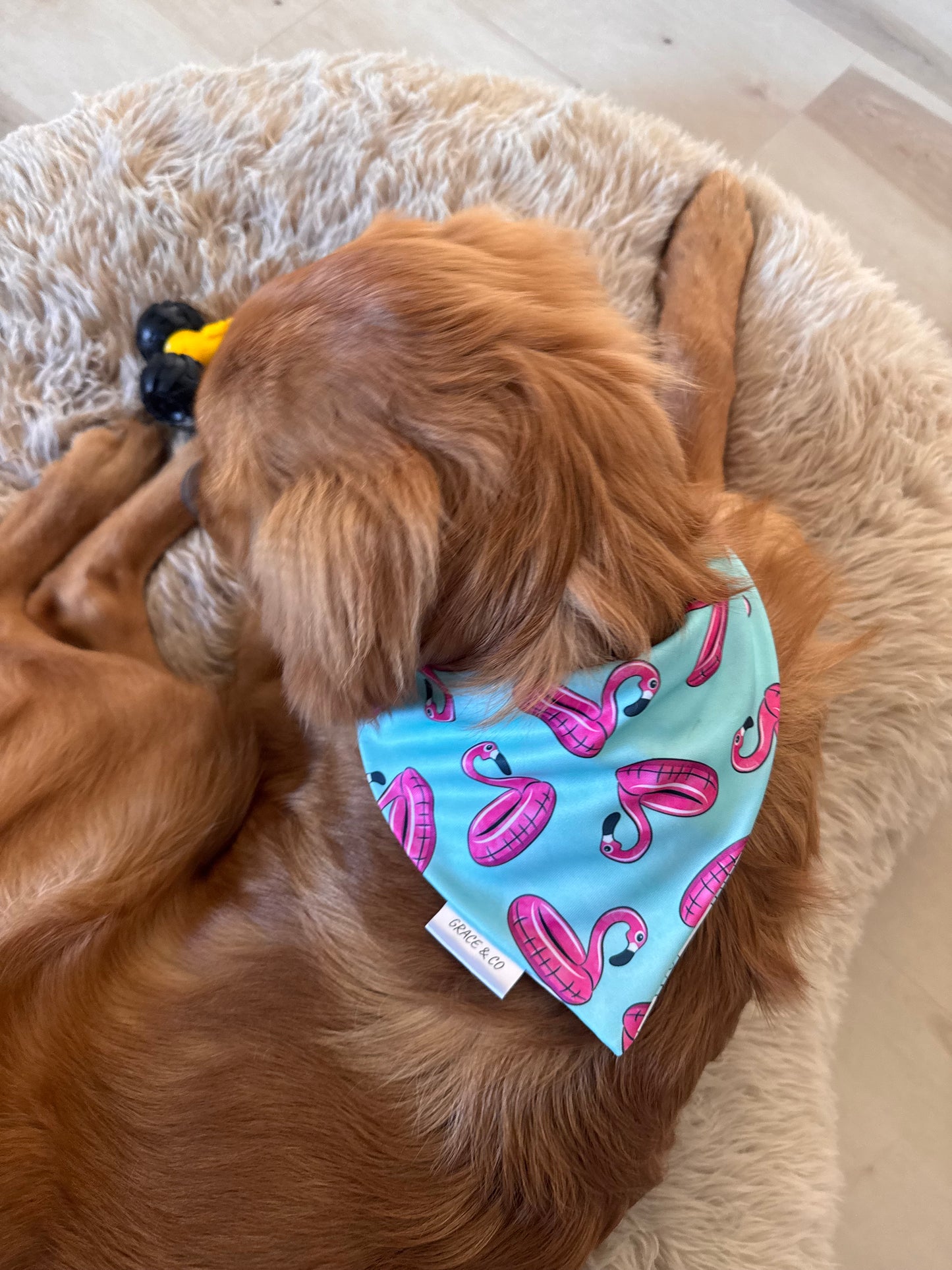 Summer Flamingos: 2 in 1, Water Resistant Pup Bandana