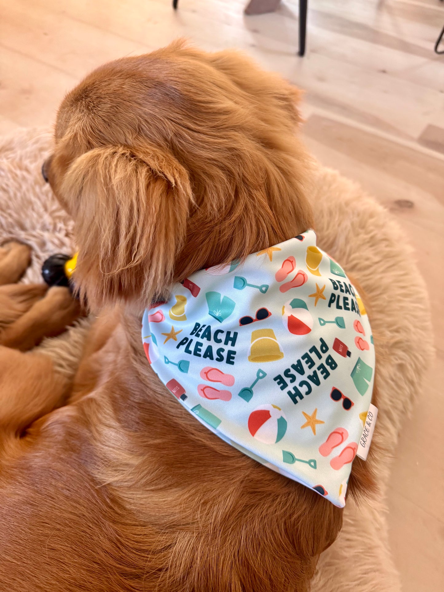 Beach Please: 2 in 1, Water Resistant Dog Bandana