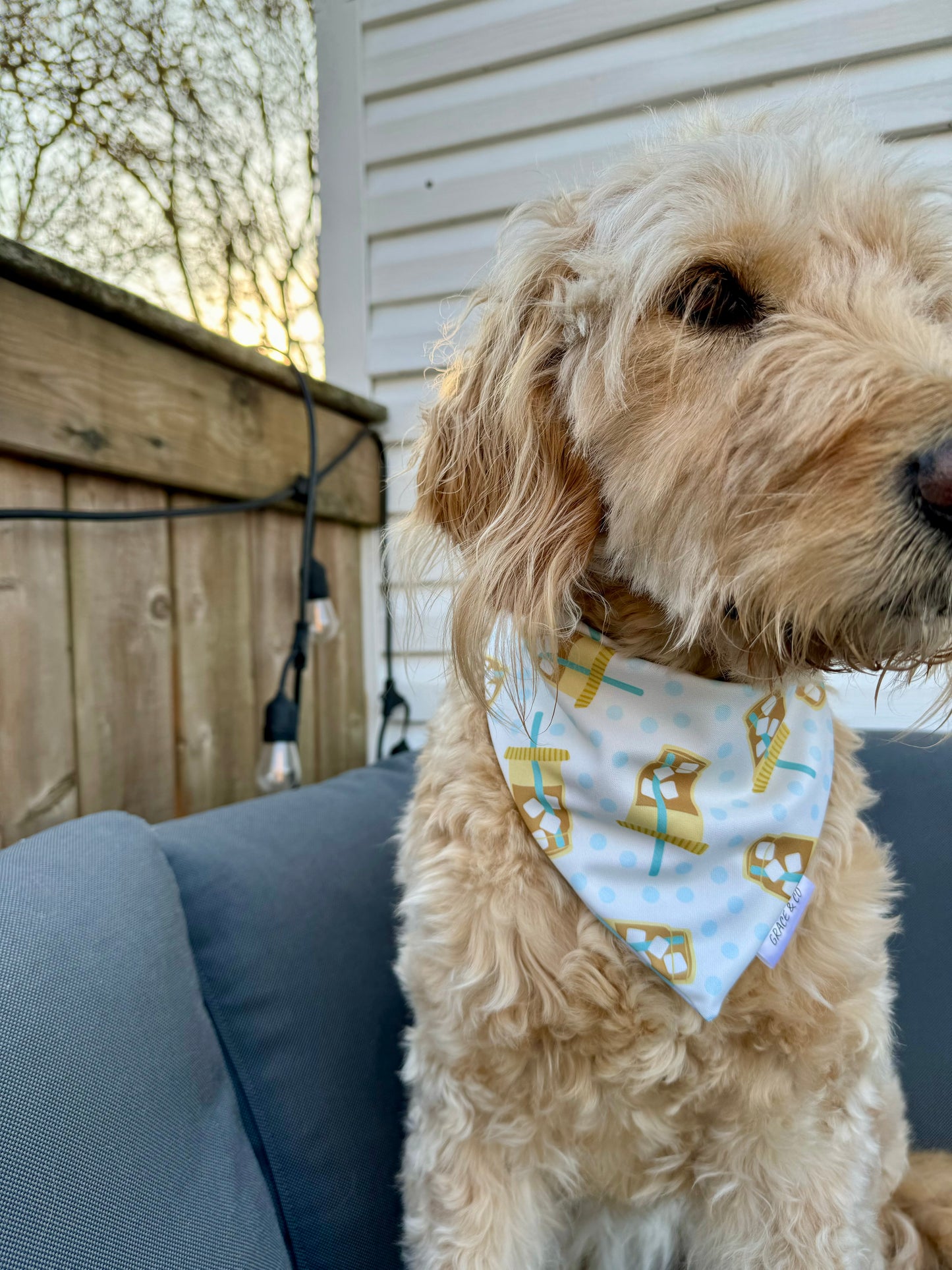 Summer Ice Coffee: Reversible, 2 in 1 Dog Bandana