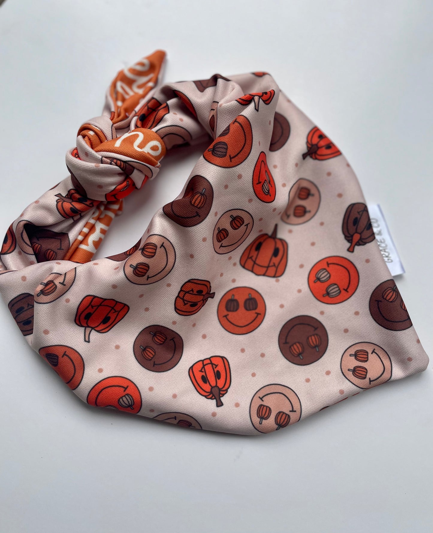 Hey Boo; 2 in 1 Double Sided Dog Bandanas
