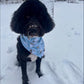 Up to Snow Good: 2 in 1, double sided dog bandana
