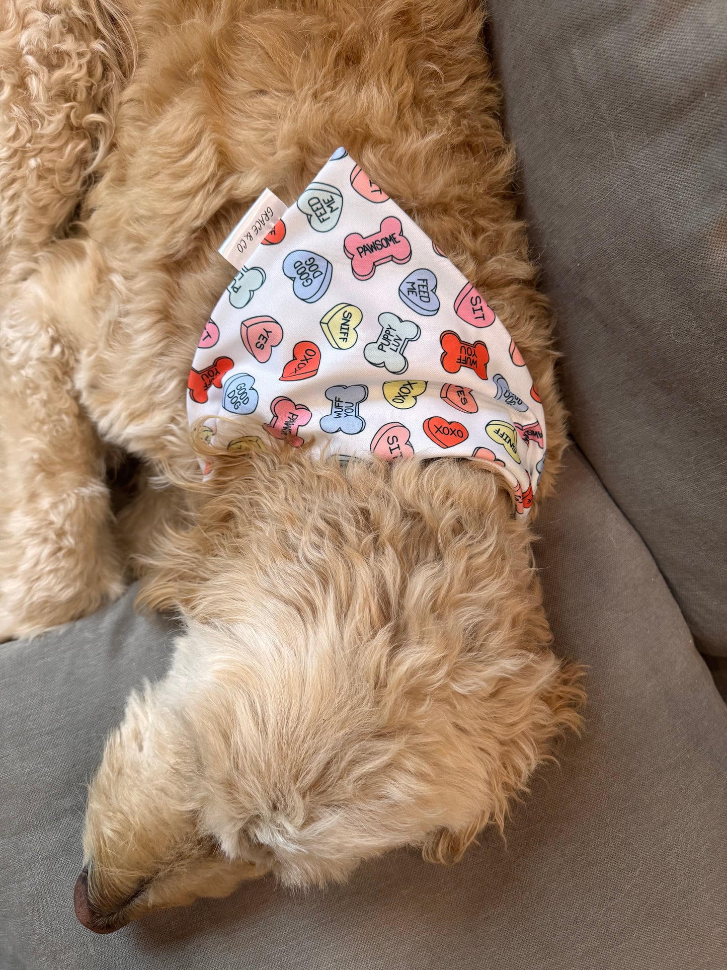 Pup Candy Hearts: 2 in 1 Pup Bandana