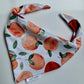 Apple Pickin': 2 in 1 Fall Pup Bandana