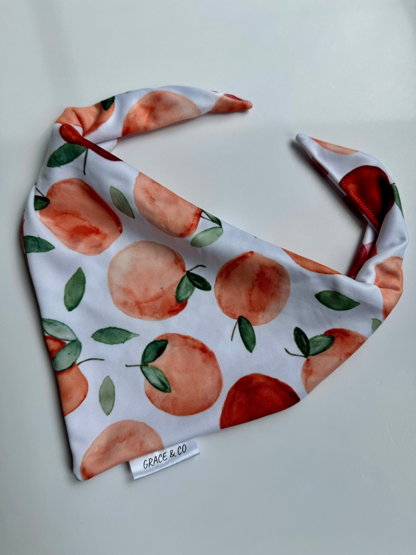 Apple Pickin': 2 in 1 Fall Pup Bandana