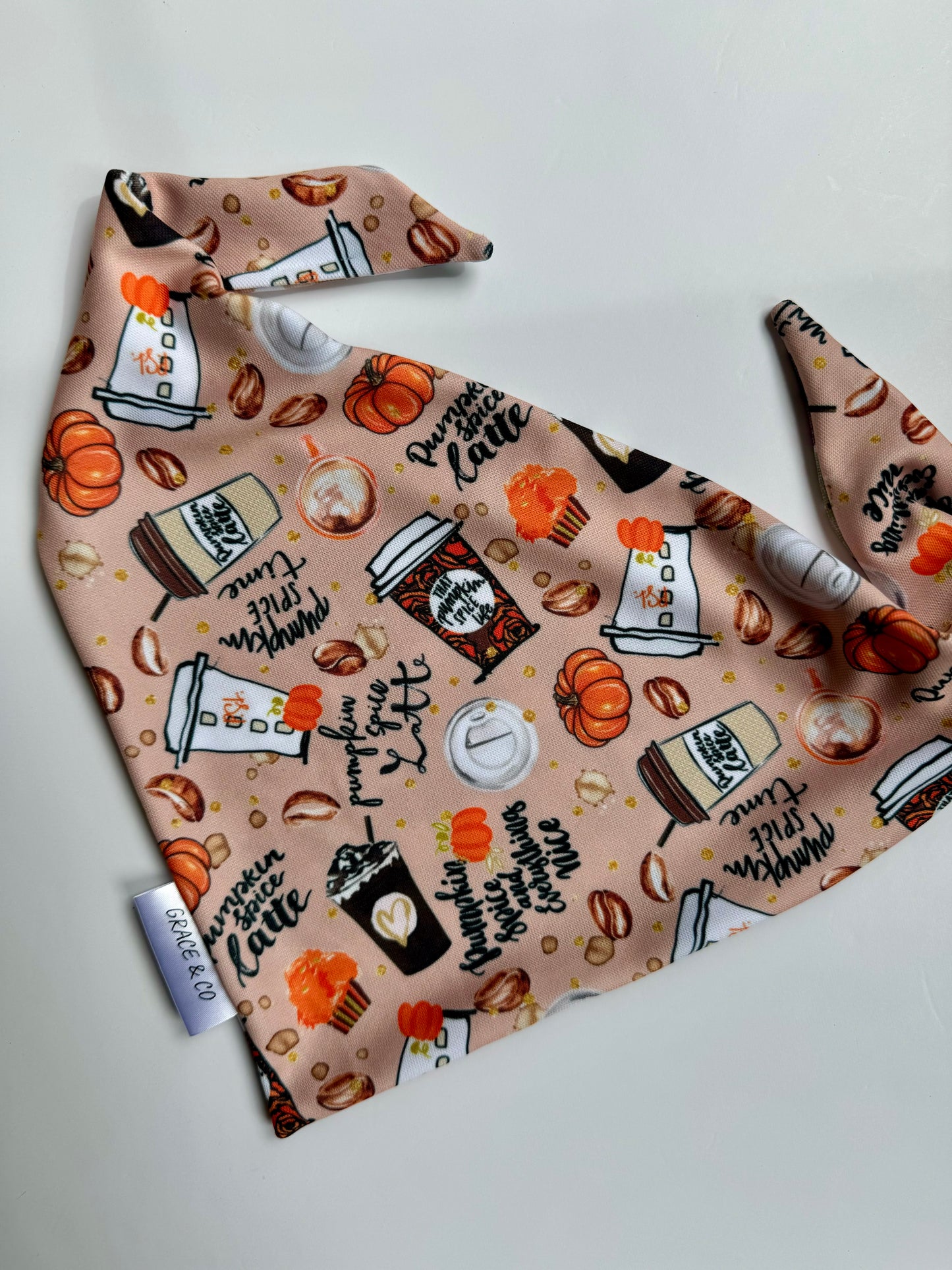 Pumpkin Spice & Everything Nice; 2 in 1 Fall Themed Dog Bandana
