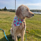 Summer Flamingos: 2 in 1, Water Resistant Pup Bandana