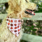 Hey Boo; 2 in 1 Double Sided Dog Bandanas