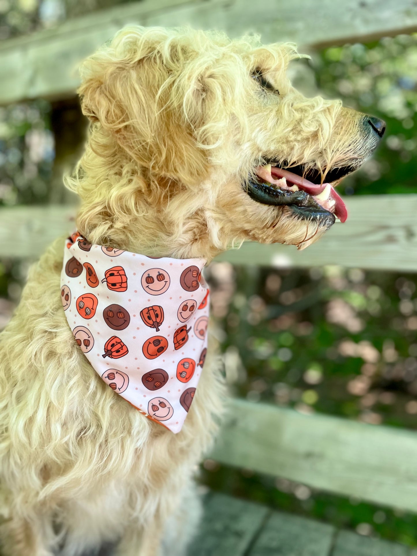 Hey Boo; 2 in 1 Double Sided Dog Bandanas