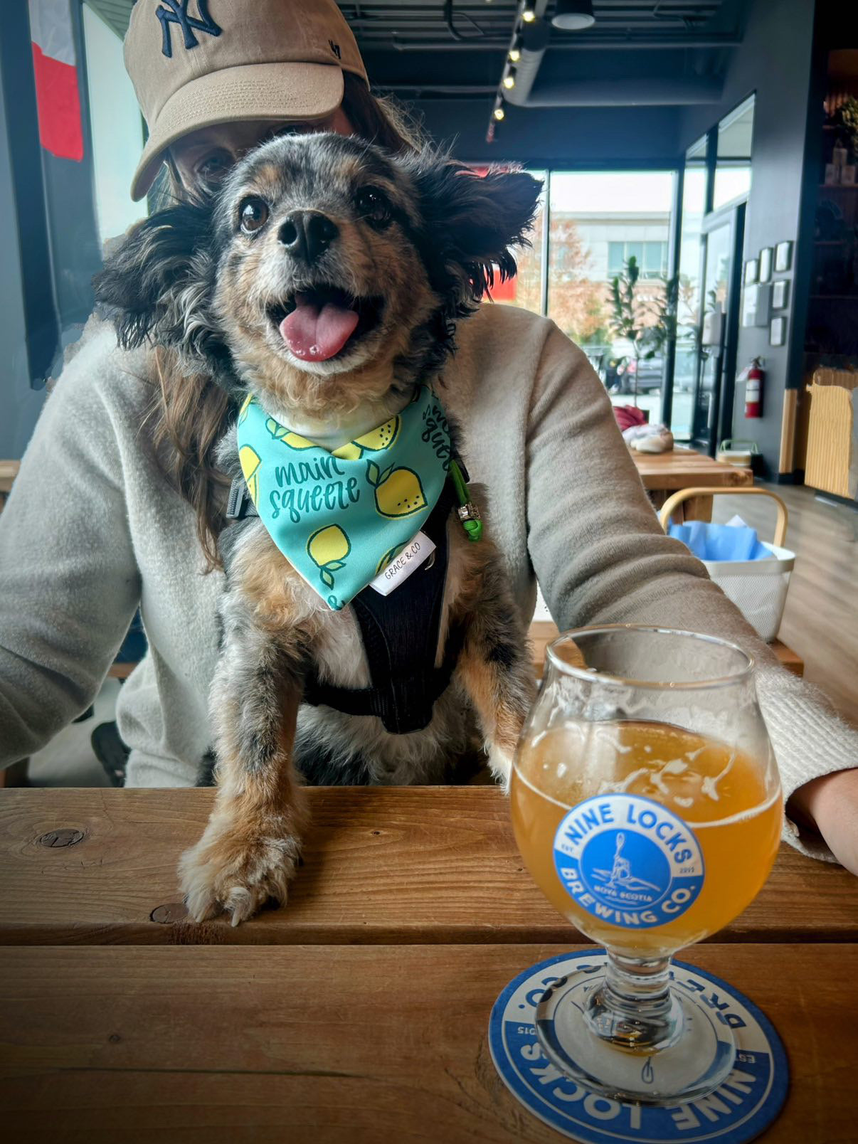 Main Squeeze, 2 in 1 Dog Bandana