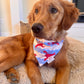 Lobster Love: 2 in 1, Water Resistant Dog Bandana