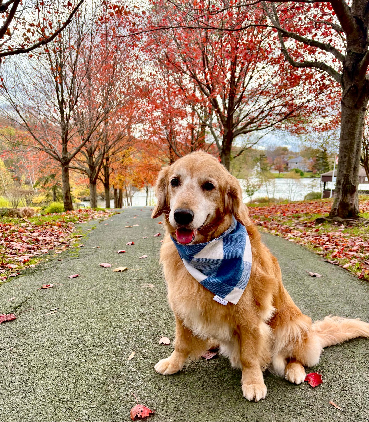 Double Sided Flannel Plaid Bandana