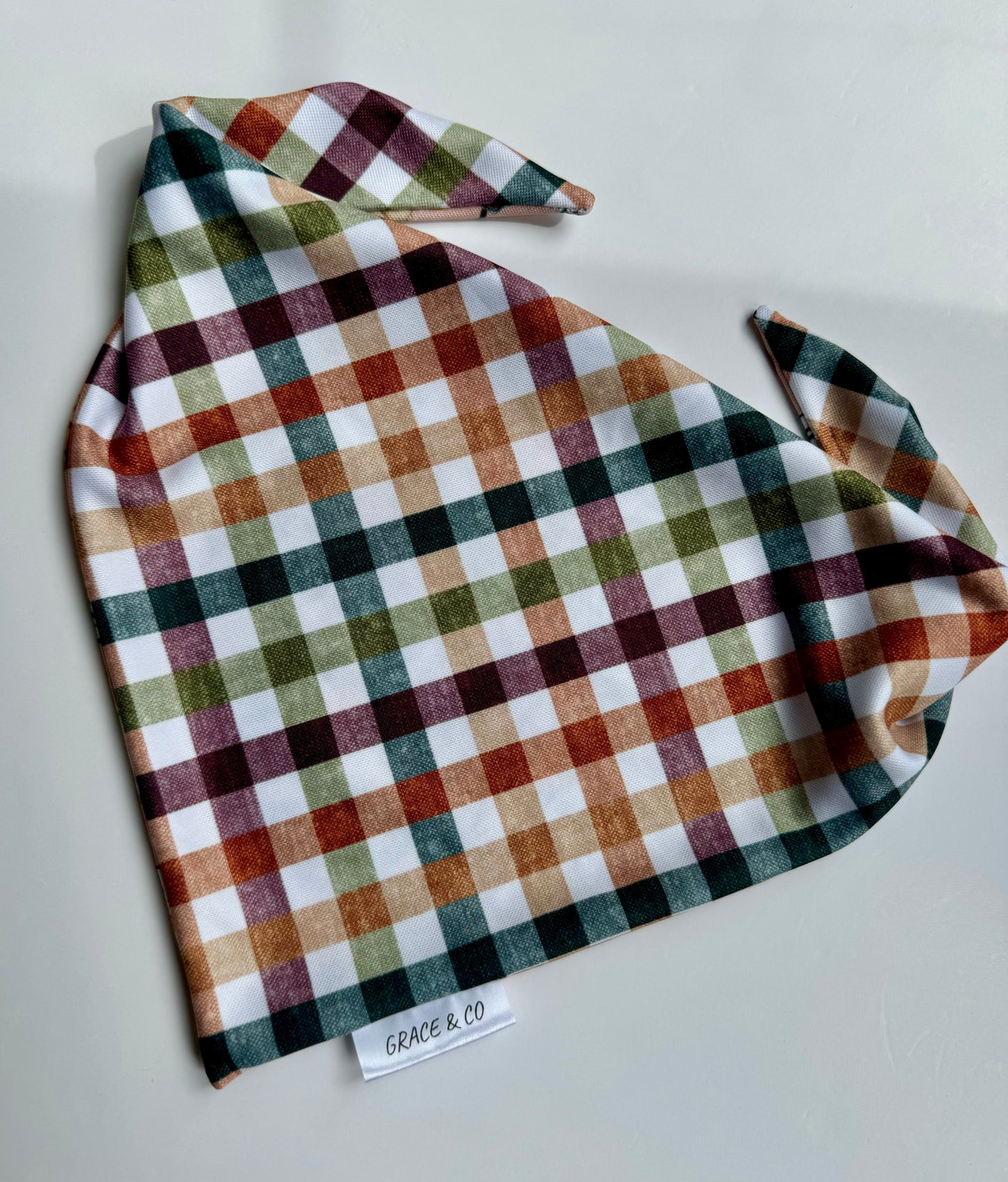 Pumpkin Spice & Everything Nice; 2 in 1 Fall Themed Dog Bandana