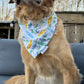 Beach Shark: Reversible, 2 in 1 Dog Bandana