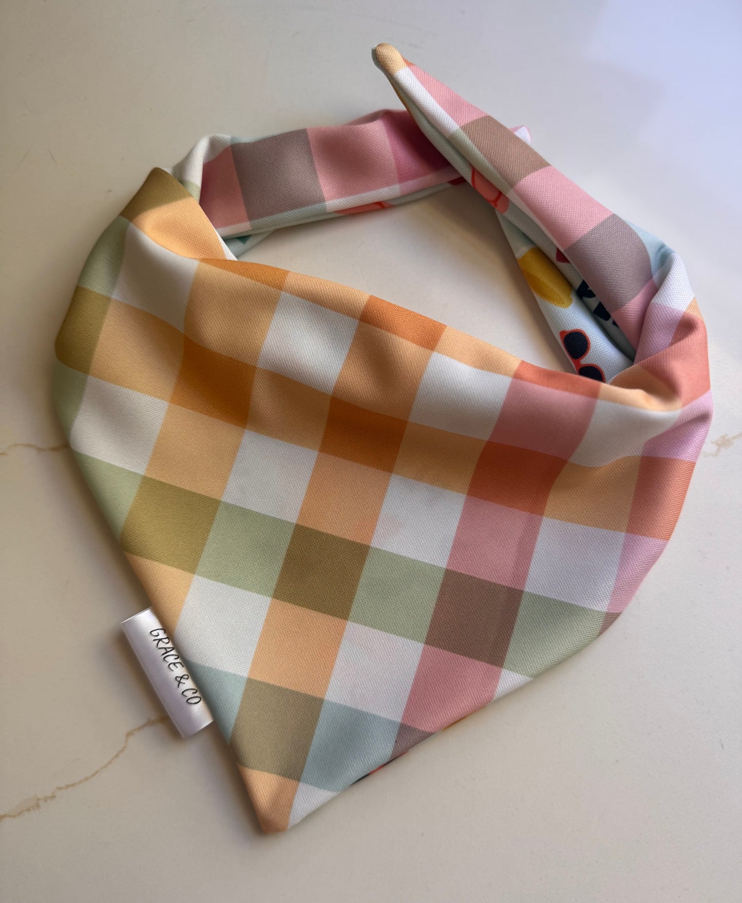 Beach Please: 2 in 1, Water Resistant Dog Bandana