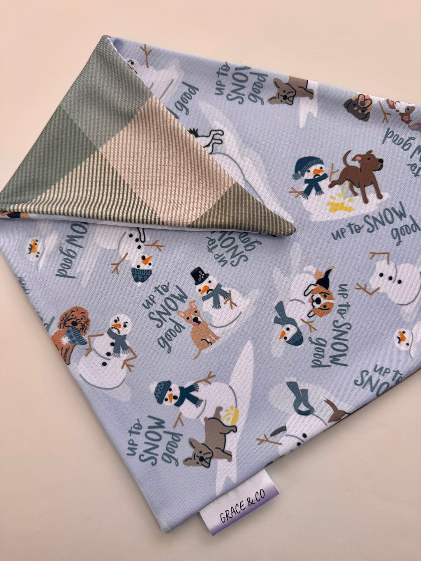 Up to Snow Good: 2 in 1, double sided dog bandana