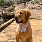 Hiking Buddy: Reversible, 2 in 1 Dog Bandana